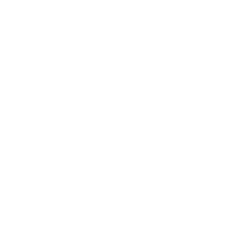 CIS Logo Ladeanimation